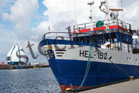 Port rybacki Hel